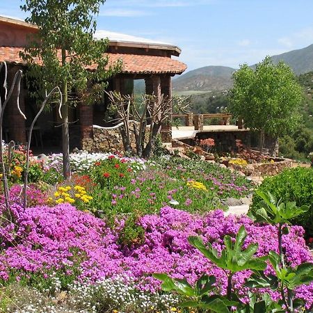 לינה וארוחת בוקר ואלה דה גוואדלופה Quinta Maria En La Ruta Del Vino מראה חיצוני תמונה