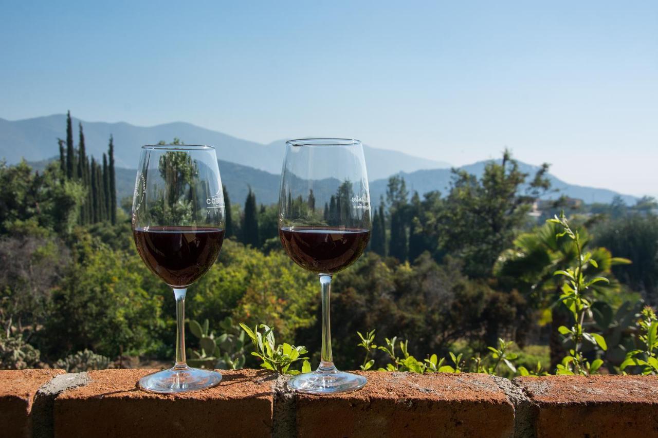 לינה וארוחת בוקר ואלה דה גוואדלופה Quinta Maria En La Ruta Del Vino מראה חיצוני תמונה