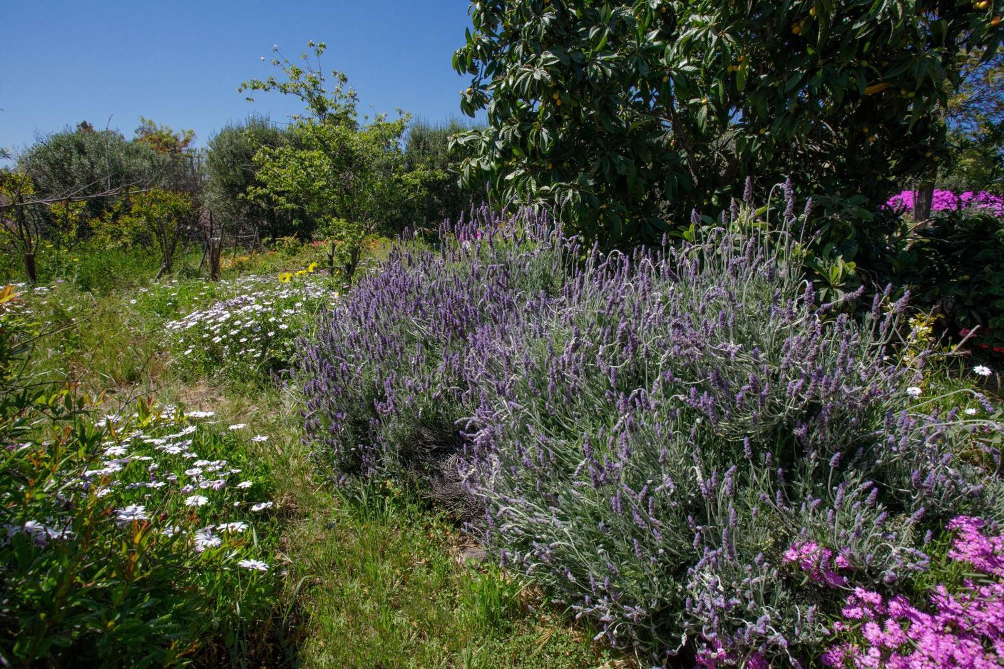 לינה וארוחת בוקר ואלה דה גוואדלופה Quinta Maria En La Ruta Del Vino מראה חיצוני תמונה