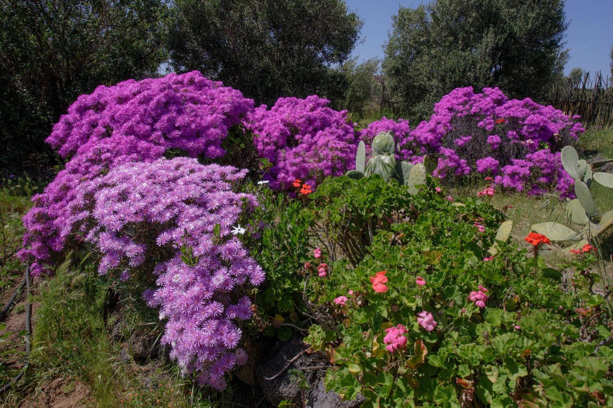 לינה וארוחת בוקר ואלה דה גוואדלופה Quinta Maria En La Ruta Del Vino מראה חיצוני תמונה